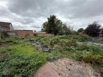 Picture 27